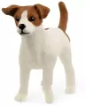 Pies rasy Jack Russell Terrier 13916 - tantis.pl