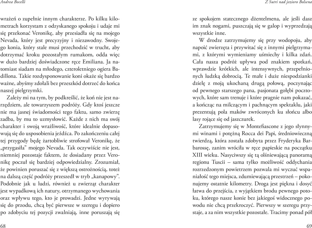W drodze. Zapiski pielgrzyma - tantis.pl