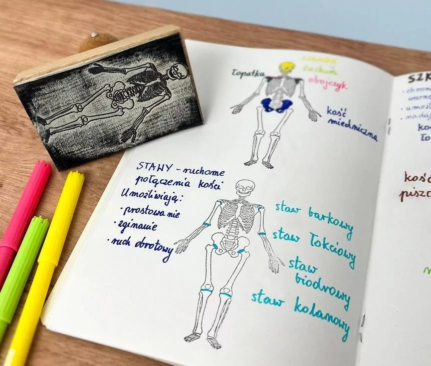 Stempel szkielet człowieka - przód - tantis.pl