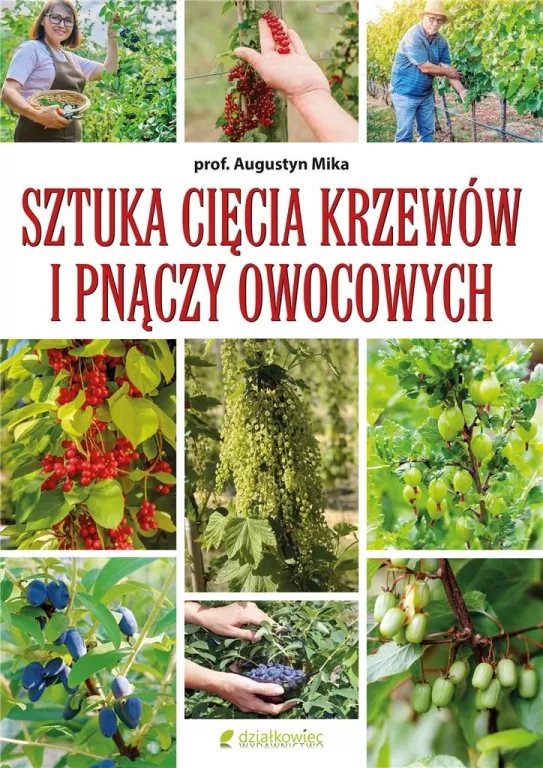 Sztuka cięcia krzewów i pnączy owocowych - tantis.pl