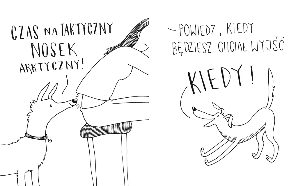 Psie sucharki idą na spacer - tantis.pl