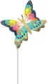 Balon foliowy kolorowy motyl - tantis.pl