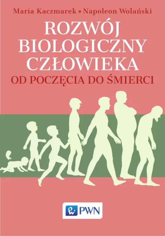 Rozwój biologiczny człowieka od poczęcia do śmierci - tantis.pl