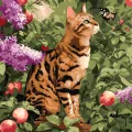 Malowanie po numerach - Kot bengalski 40x40cm - tantis.pl