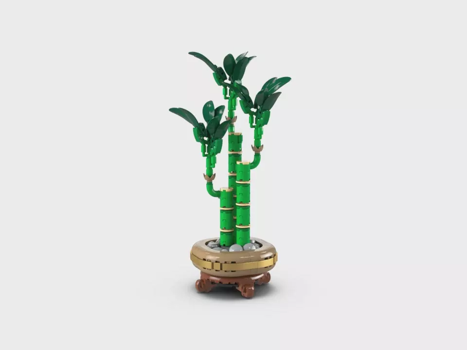 LEGO® Botanicals. Dracena sandera 10344 - tantis.pl