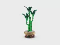 LEGO® Botanicals. Dracena sandera 10344 - tantis.pl
