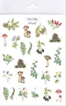 Tatuaże zmywalne. Botaniczne - tantis.pl