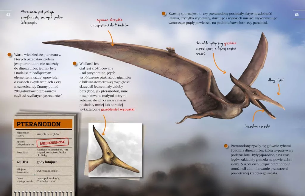 Dinozaury. Przewodnik młodego przyrodnika - tantis.pl