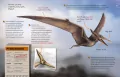 Dinozaury. Przewodnik młodego przyrodnika - tantis.pl