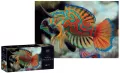 Puzzle 250 Colourful Nature 11 Mandarinfish - tantis.pl