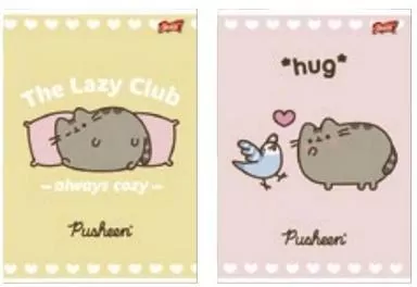 Zeszyt Pusheen. A4/32K linia kolor. 15 sztuk - tantis.pl