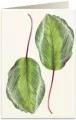 Karnet B6 + koperta: Kalatea - tantis.pl