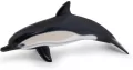 Delfin zwyczajny - tantis.pl