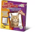 Zestaw Kreatywny do malowania - Maine Coon - tantis.pl