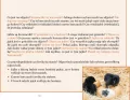 Co się za chwilę może stać? Ćwiczenia rozwijające myślenie przyczynowo-skutkowe - tantis.pl