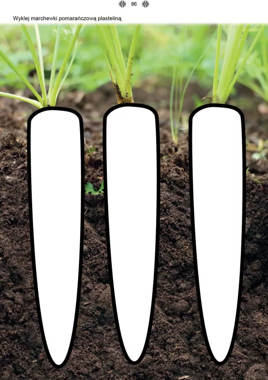 Poznaję i rozumiem świat. Karty pracy 1 - tantis.pl