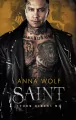 Saint. Storm Riders. Tom 5 - tantis.pl