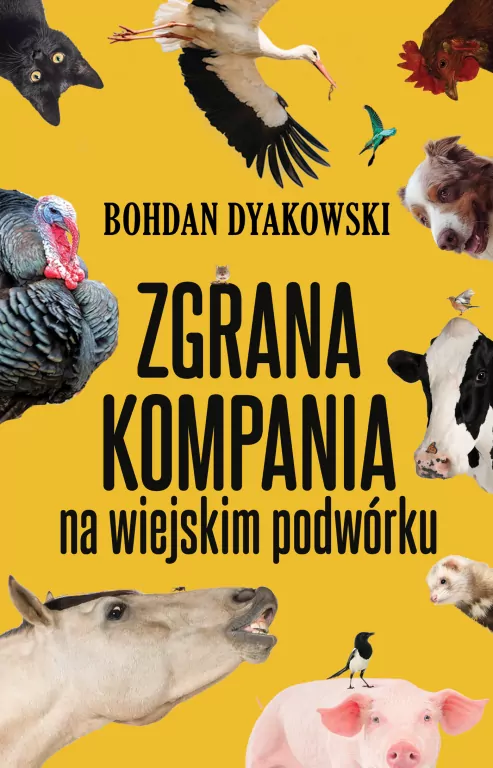 Zgrana kompania. Na wiejskim podwórku - tantis.pl