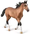 Ogier Standardbred Pacer maści gniadej - tantis.pl
