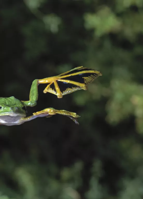 Życie na Ziemi. Najwspanialsza historia na świecie - tantis.pl
