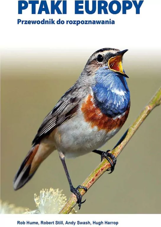 Ptaki Europy. Przewodnik do rozpoznawania - tantis.pl
