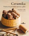 Ceramika. Praktyczny poradnik lepienia z gliny - tantis.pl