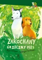 Zakochany grzeczny pies - tantis.pl