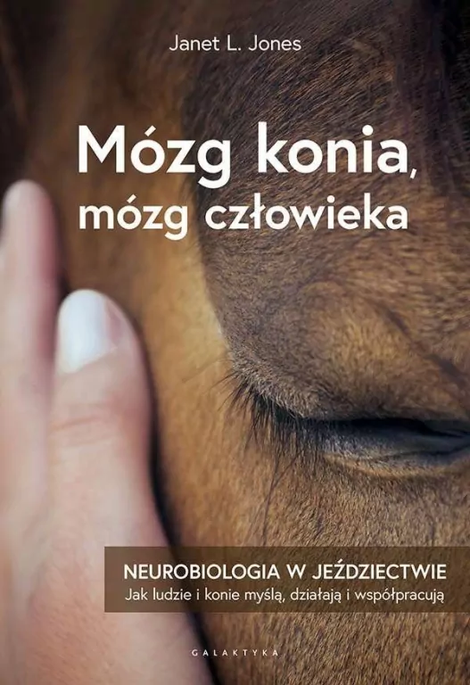 Mózg konia, mózg człowieka - tantis.pl