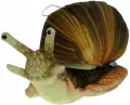 Ślimak 35cm - tantis.pl