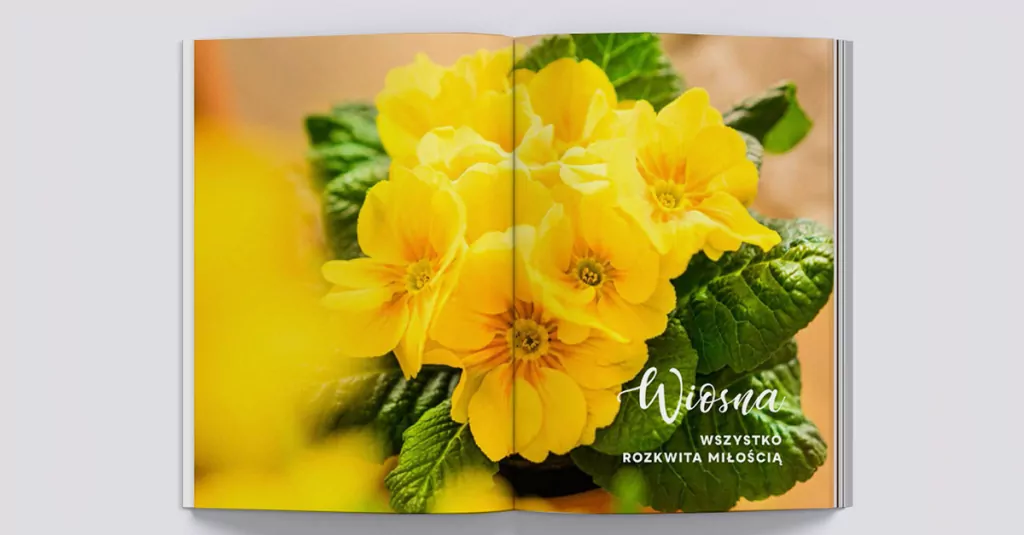 Dom pełen miłości. Przepisy na cztery pory roku - tantis.pl