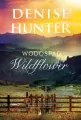 Romans w Riverbend. Wodospad Wildflower. Tom 4 - tantis.pl