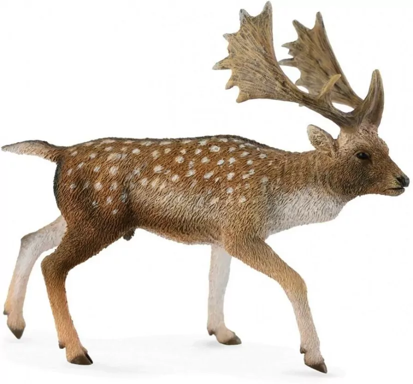 Daniel samiec - tantis.pl