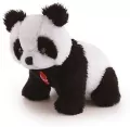 Panda. Sweet Collection - tantis.pl