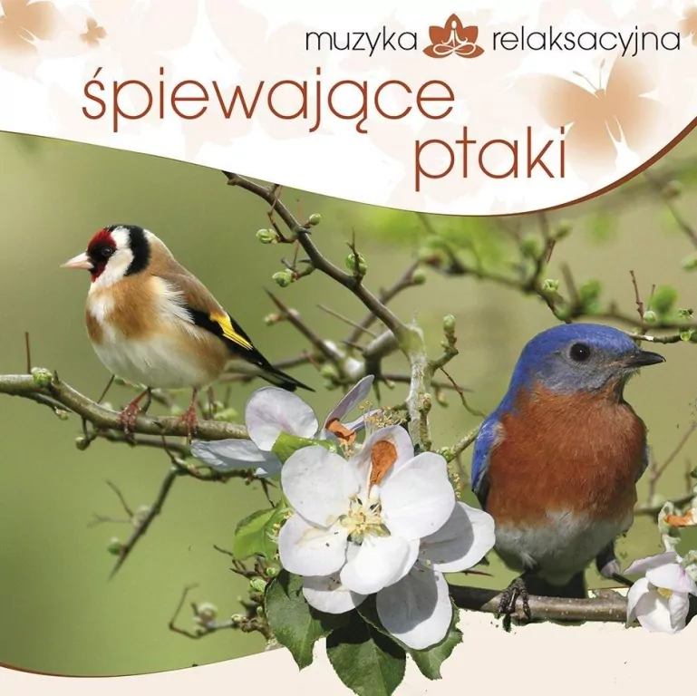 Śpiewające ptaki. Muzyka relaksacyjna. CD - tantis.pl