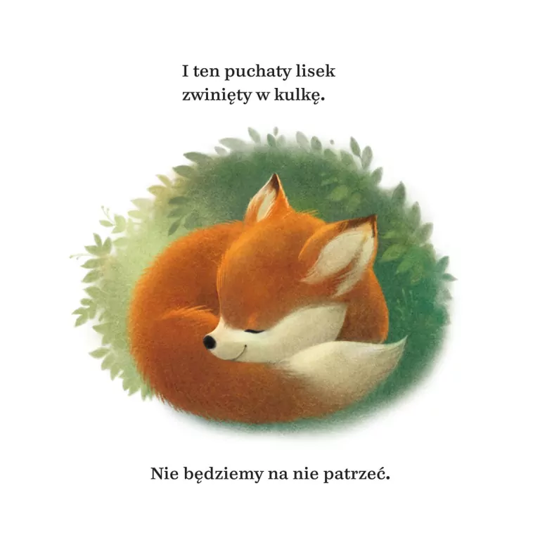 Zamknij oczka. Książka do zasypiania - tantis.pl