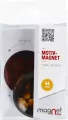 Magnes szklany Lew. Kopuła 5 cm - tantis.pl