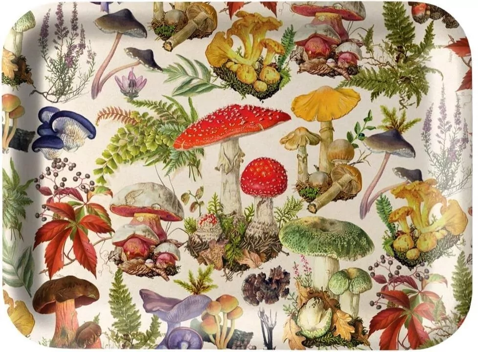 Tacka kuchenna ozdobna Las grzybów - tantis.pl