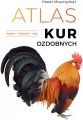 Atlas kur ozdobnych - tantis.pl