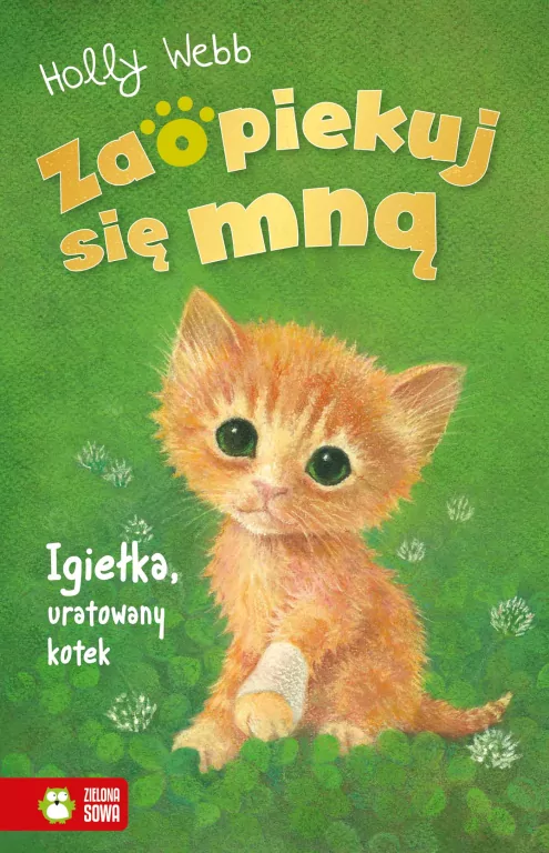 Igiełka, uratowany kotek. Zaopiekuj się mną - tantis.pl