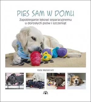 Pies sam w domu. Zapobieganie lękowi separacyjnemu - tantis.pl