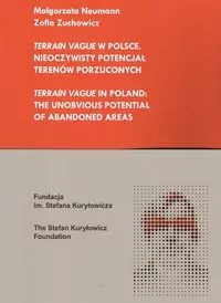 Terrain Vague w Polsce. Nieoczywisty potencjał terenów porzuconych - tantis.pl
