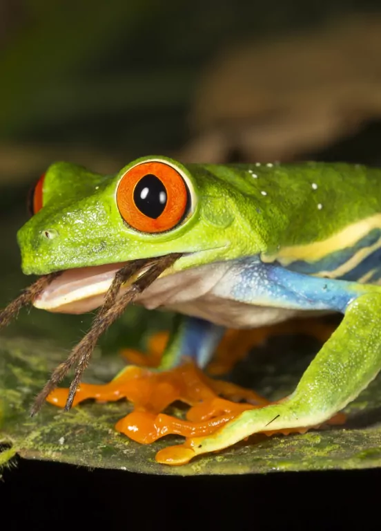 Życie na Ziemi - tantis.pl