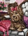 Malowanie po numerach. Yorkshire terrier 40x50cm - tantis.pl