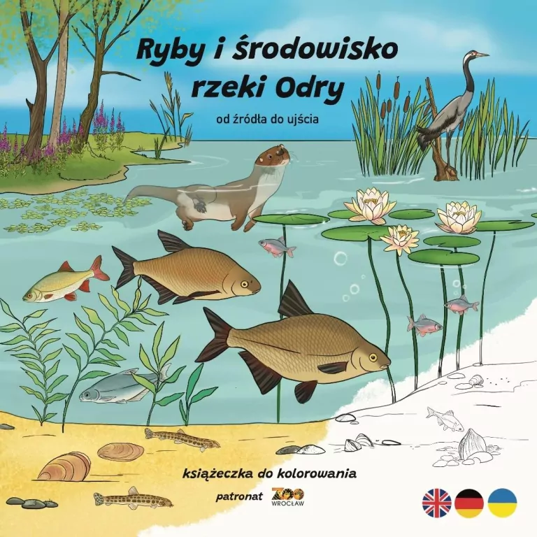Ryby i środowisko rzeki Odry. Od źródła do ujścia - tantis.pl