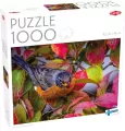 Puzzle 1000 Robin w jesiennych liściach - tantis.pl