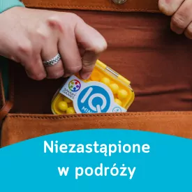 Smart Games - NIEZASTĄPIONE W PODRÓŻY