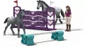 Trening turniejowy lisy Horse Club - tantis.pl