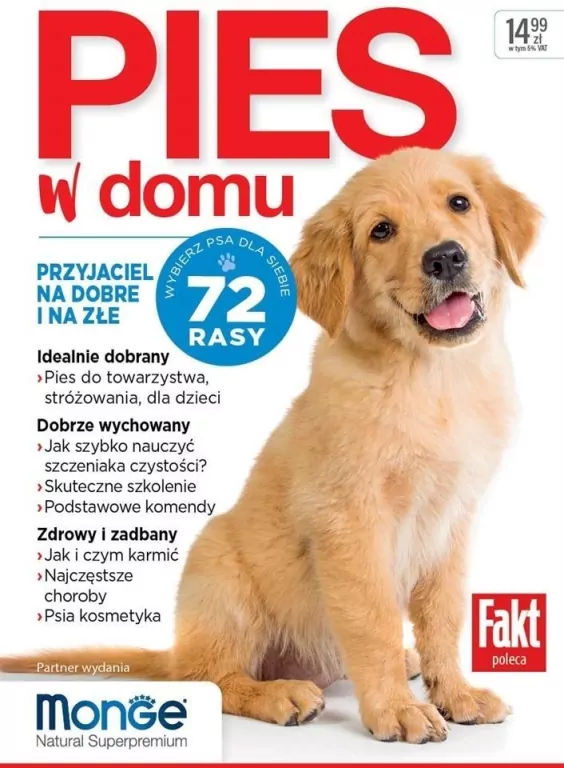 Pies w domu - tantis.pl