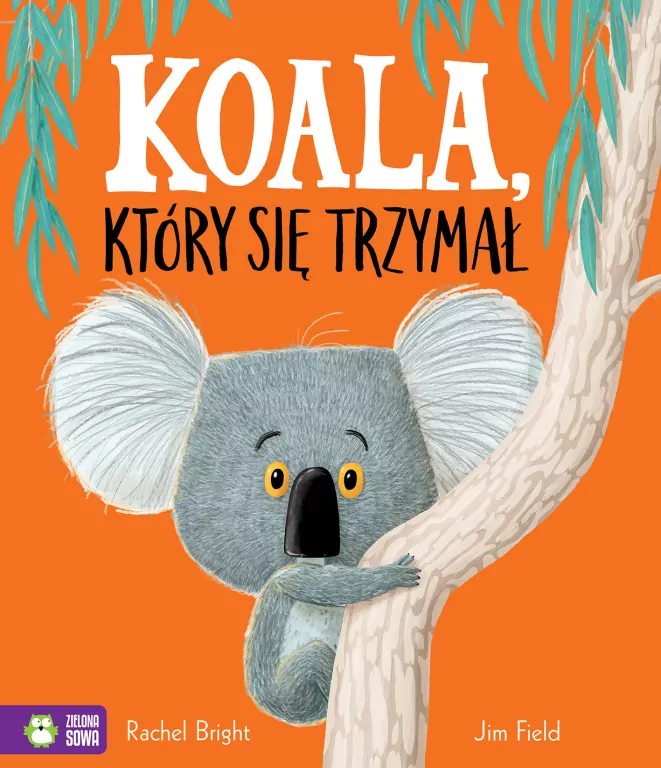 Koala, który się trzymał - tantis.pl