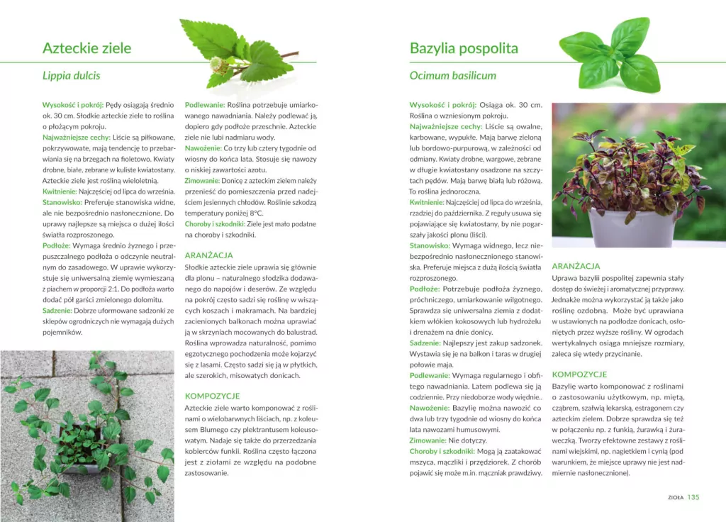 Atlas kwiatów i ziół balkonowych - tantis.pl